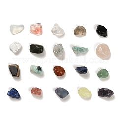20 個の天然混合石ナゲットコレクション  地球科学教育用  11.5~15.5x12~17.5x6~10mm&nbsp;G-M425-01B