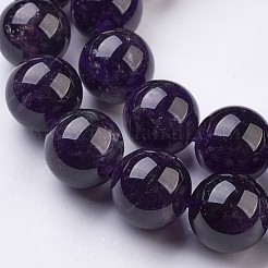 Natural Amethyst Bead Strands&nbsp;G-J376-20-14mm