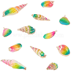 12Pcs 6 Styles Electroplated Natural Mixed Shell Big Pendants&nbsp;SSHEL-GA0001-06