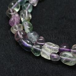 Natural Fluorite Beads Strands&nbsp;G-F521-48