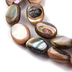 Natural Paua Shell Beads Strands&nbsp;BSHE-B007-06