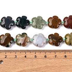 ナチュラルオーシャンジャスパー/オーシャンアゲートビーズ連売り  5  - 花びらの花  14~15x14~15x6~7mm  穴：1.2mm  約27個/連  16.14''（41~44.5センチメートル）&nbsp;G-D475-02D