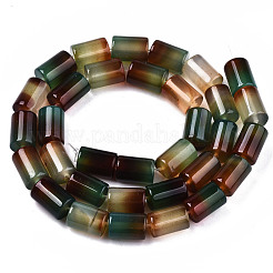 天然な孔雀瑪瑙ビーズ連売り  コラム  11.5~12.5x8.5mm  穴：1.2mm  約33個/連  15.35インチ（39cm）&nbsp;G-T131-72