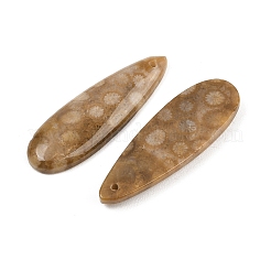Natural Fossil Coral Pendants&nbsp;G-B187-01C-05