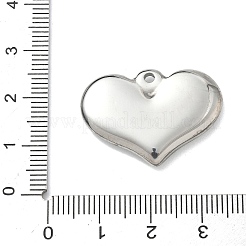 304 Stainless Steel Pendants&nbsp;STAS-G361-06P