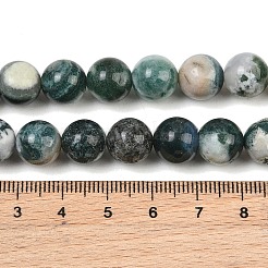 天然石ツリーアゲート瑪瑙ビーズ連売り  ラウンド  10mm  穴：1.2mm  約37個/連  14.76インチ（37.5cm）&nbsp;G-I199-03-10mm
