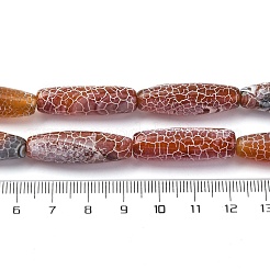 Natural Weathered Agate Beads Strands&nbsp;G-P570-C03-01