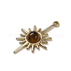 Natural Tiger Eye Pendants&nbsp;X-STAS-R005-02G