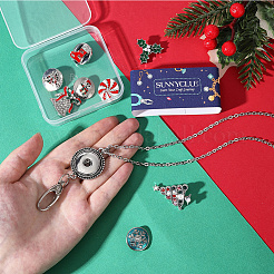DIY Necklace Making Sets&nbsp;DIY-SC0031-59