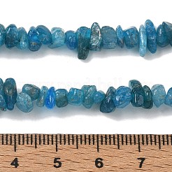 Natural Blue Apatite Beads Strands&nbsp;GG-CBAAEDE-A02