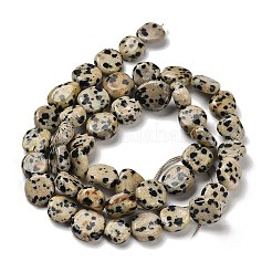 Natural Dalmatian Jasper Beads Strands&nbsp;G-P497-01E-80