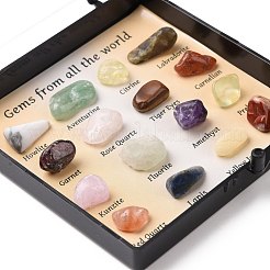 Natural Gemstones Nuggets Collections&nbsp;G-E155-01