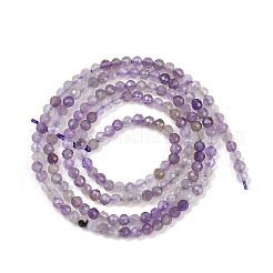 Natural Amethyst Beads Strands&nbsp;G-L628-B09-2mm