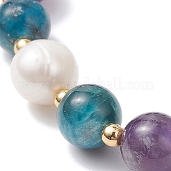 Natural Cultured Freshwater Pearl & Apatite & Amethyst Beads Stretch Bracelets for Women&nbsp;BJEW-JB12854