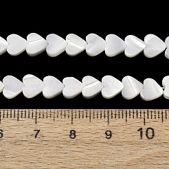 Natural Trochid Shell/Trochus Shell Beads Strands&nbsp;SH-CBA2978-19A