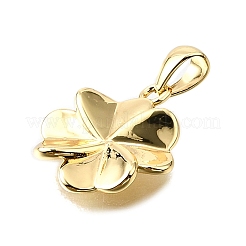 Brass Pendants&nbsp;KK-V011-52G