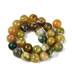 天然石ドラゴンアゲート瑪瑙ビーズ連売り  ラウンド  染め＆加熱  14mm  穴：0.8~1.2mm  約28個/連  14.96~15.35インチ（38~39cm）&nbsp;G-Q606-42B-D02