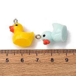 不透明樹脂ペンダント  アヒルのチャーム  プラチナ鉄ループ付き  ミックスカラー  18~18.5x17.5x11.5~2mm  穴：2.1mm&nbsp;RESI-A046-03