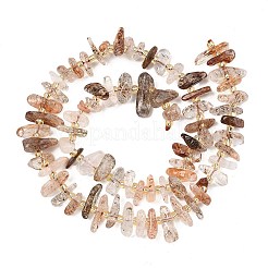 Natural Black Gold Rutilated Quartz Beads Strands&nbsp;G-F821-D01-01