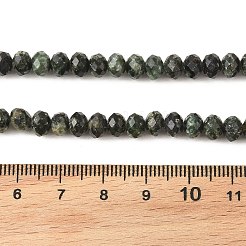 Natural Seraphinite Beads Strands&nbsp;G-K376-E06-4x6mm