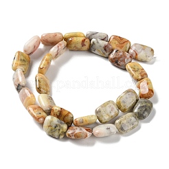 Natural Crazy Lace Agate Beads Strands&nbsp;G-K357-D08-01