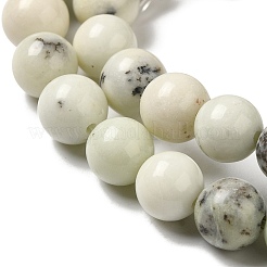 Natural Dendritic Jasper Beads Strands&nbsp;G-H298-A15-03