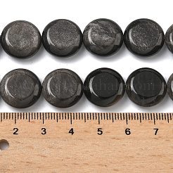 Natural Silver Sheen Obsidian Beads Strands&nbsp;G-L648-B23-15mm-02