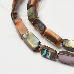 Natural Paua Shell Beads Strands&nbsp;G-D171-03