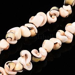 天然石シーシェルビーズ連売り  スパイラルビーズ  ランダムスタイル  ライトカーキ  7~14.5x5~12.5x3.5~13mm  穴：1.2mm  約64~85個/連  15.75~15.94''（40~40.5センチメートル）&nbsp;BSHE-E026-14