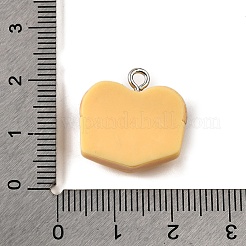 不透明樹脂ペンダント  パン  プラチナ鉄ループ付き  ミックスカラー  17x18.5x7mm  穴：2mm&nbsp;CRES-D307-05P