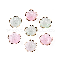 プラスチックビーズキャップ  5  - 花びらの花  ツートン  ゴールドライン入り  パールピンク  10~11x10~11x4mm  穴：1.6mm  約2000個/袋&nbsp;KY-Q005-04A-03