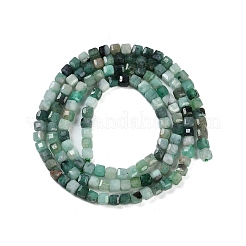 Natural Emerald Beads Strands&nbsp;G-P553-E04-02
