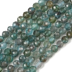 Natural Apatite Beads Strands&nbsp;G-RM250101-D1-A