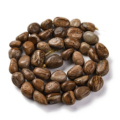 Natural Picture Jasper Beads Strands&nbsp;LS-G-G146-A01-01