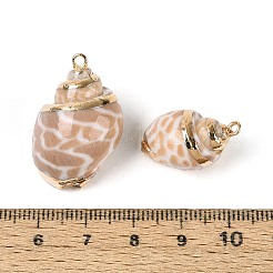 電気メッキナチュラルスパイラルシェルペンダント  金色の鉄製ループが付いた巻き貝チャーム  砂茶色  19.5~30.5x13~22x11~18mm  穴：1.6~1.8mm&nbsp;SSHEL-N042-08