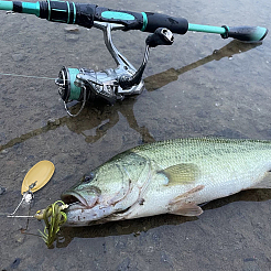 60個5スタイルの鉄製釣りルアー  釣りアトラクタスピナーブレード  ハードルアーワームスピナーベイトスプーンリグ作り用  オーバル  ゴールドカラー  22.5~48x13~23.6x1~2mm  穴：2~3mm  12個/スタイル&nbsp;FIND-FH0010-43B