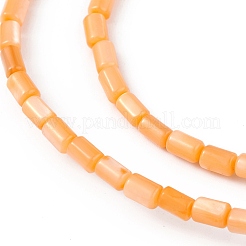 天然淡水貝殻染めビーズ連売り  コラム  オレンジ  4.8x3mm  穴：0.8mm  約78個/連  14.96''（38センチメートル）&nbsp;SHEL-M018-12-07
