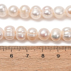 Natural Cultured Freshwater Pearl Beads Strands&nbsp;PA-CBABE82-06C