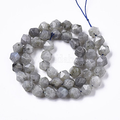 Natural Labradorite Beads Strands&nbsp;G-R465-33B