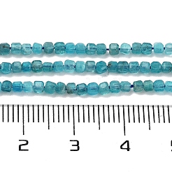 Natural Blue Apatit Beads Strands&nbsp;G-H042-B12-01B