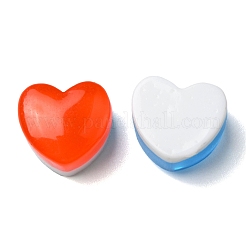 Translucent Resin Cabochons&nbsp;RESI-R438-02