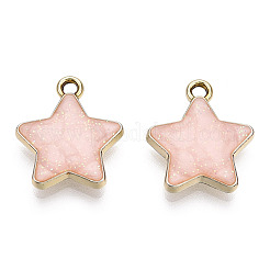Alloy Enamel Pendants&nbsp;ENAM-T011-206