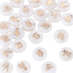 24Pcs 12 Styles Natural Freshwater Shell Beads&nbsp;SHEL-TA0001-42