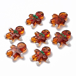 Handmade Lampwork Beads Strands&nbsp;LAMP-N021-025