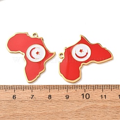 304 Stainless Steel & Enamel Pendants&nbsp;SA-CBA6ECE-01G-G05