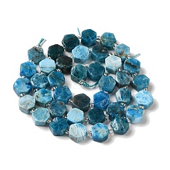 Natural Apatite Beads Strands&nbsp;G-P534-A02-02