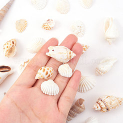 天然ホタテ貝殻ビーズ  シーシェルビーズ  ドリルなし/穴なしビーズ  貝殻色  8.3x12cm&nbsp;SSHEL-CJ0001-02