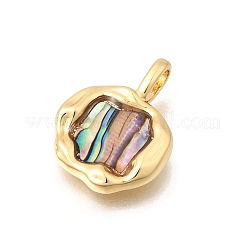 Natural Paua Shell Pendants&nbsp;KK-D255-11G