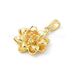 Brass Pendants&nbsp;KK-E791-11G