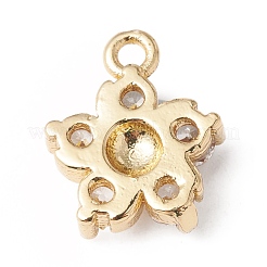Eco-Friendly Rack Plating Brass Micro Pave Cubic Zirconia Charms&nbsp;KK-F835-14G
